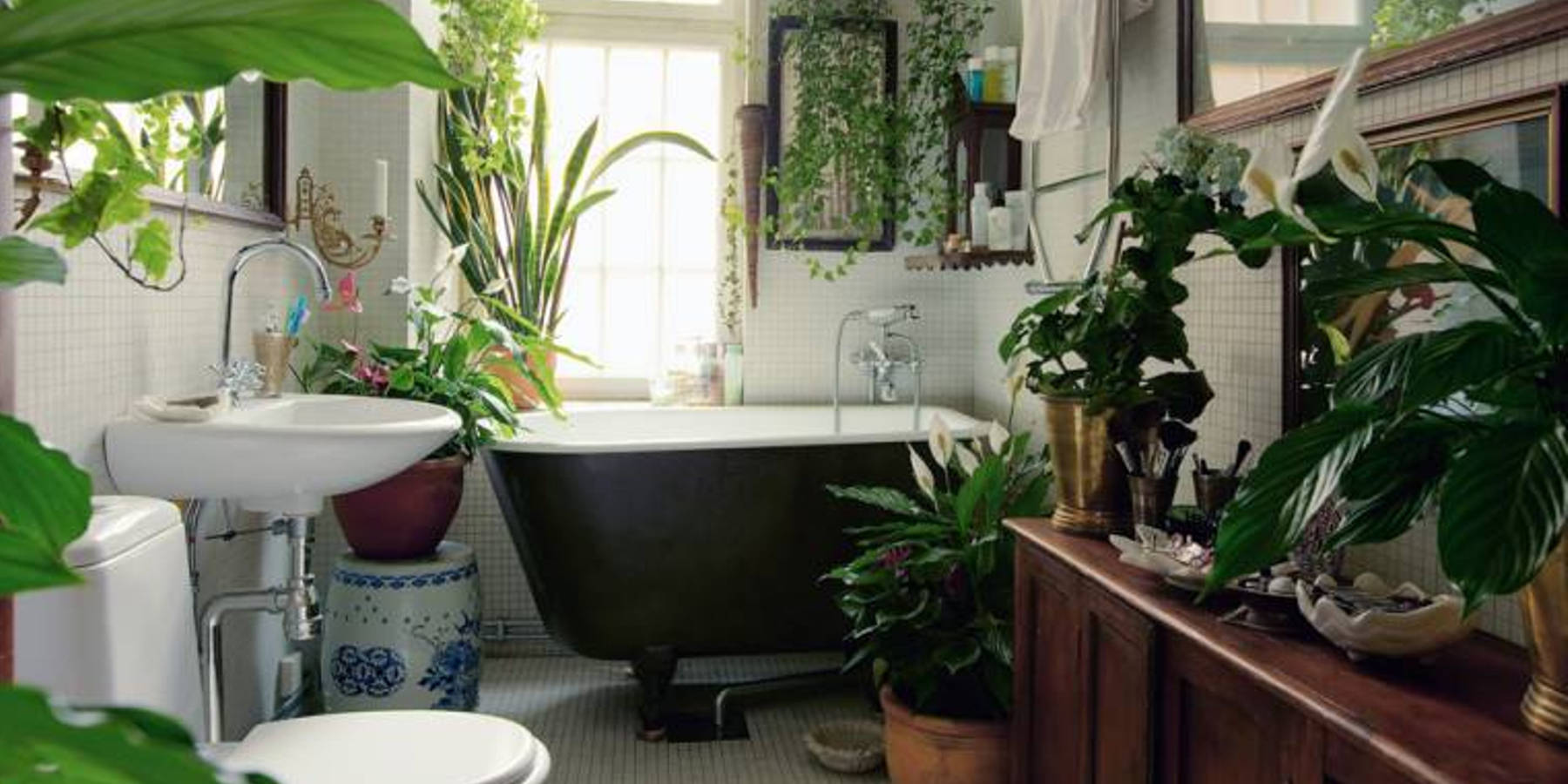 Comment adopter le style végétal dans votre salle de bain ?