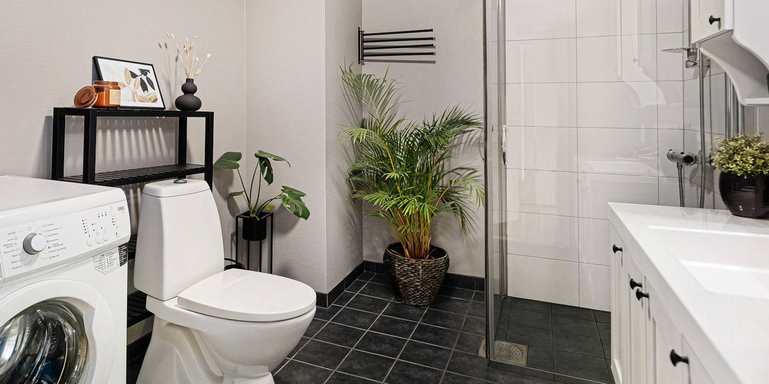 Quelles plantes choisir pour décorer votre salle de bain ?